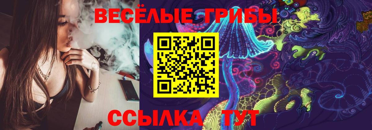 Псилоцибиновые грибы Cubensis Среднеуральск